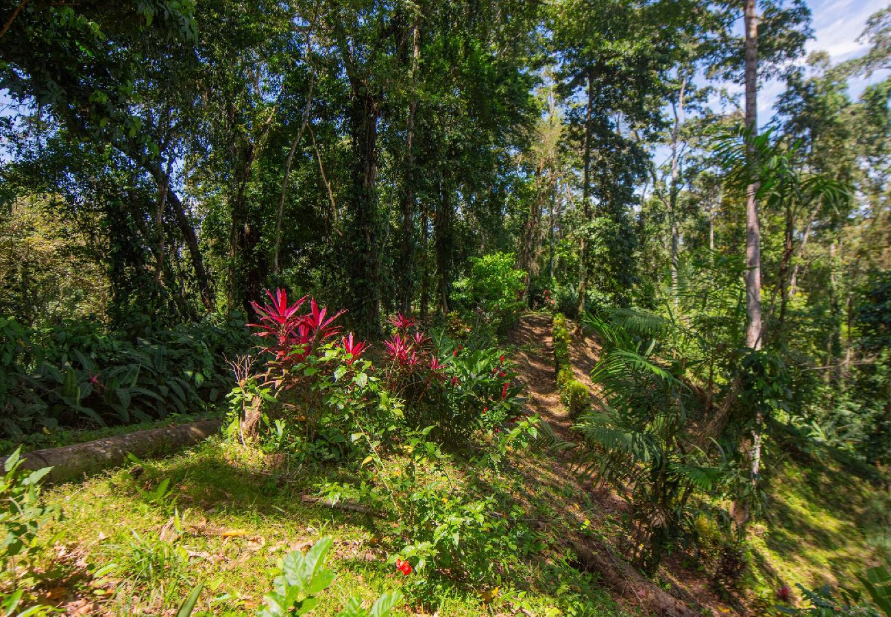 Casa en Cocles - Blue Mavericks para amantes de la naturaleza ¡SOLO 4x4!