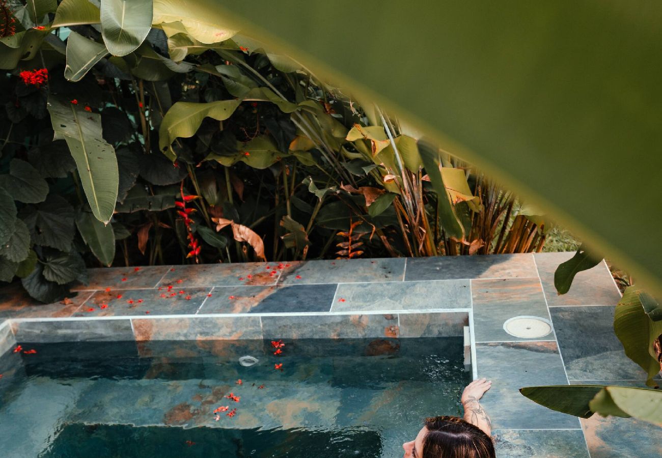 House in Cahuita - Home with Pool near Cahuita National Park