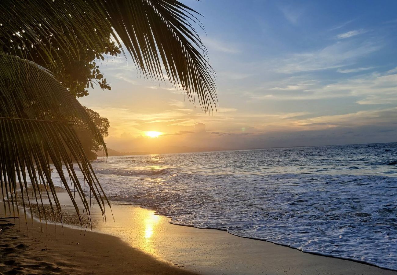 House in Playa Chiquita - Osos Caribeños 10min walking to the beach 